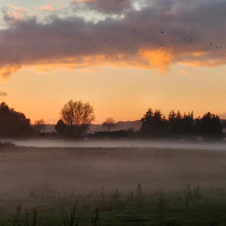 Fewo Am Wald Boek Exteriör bild
