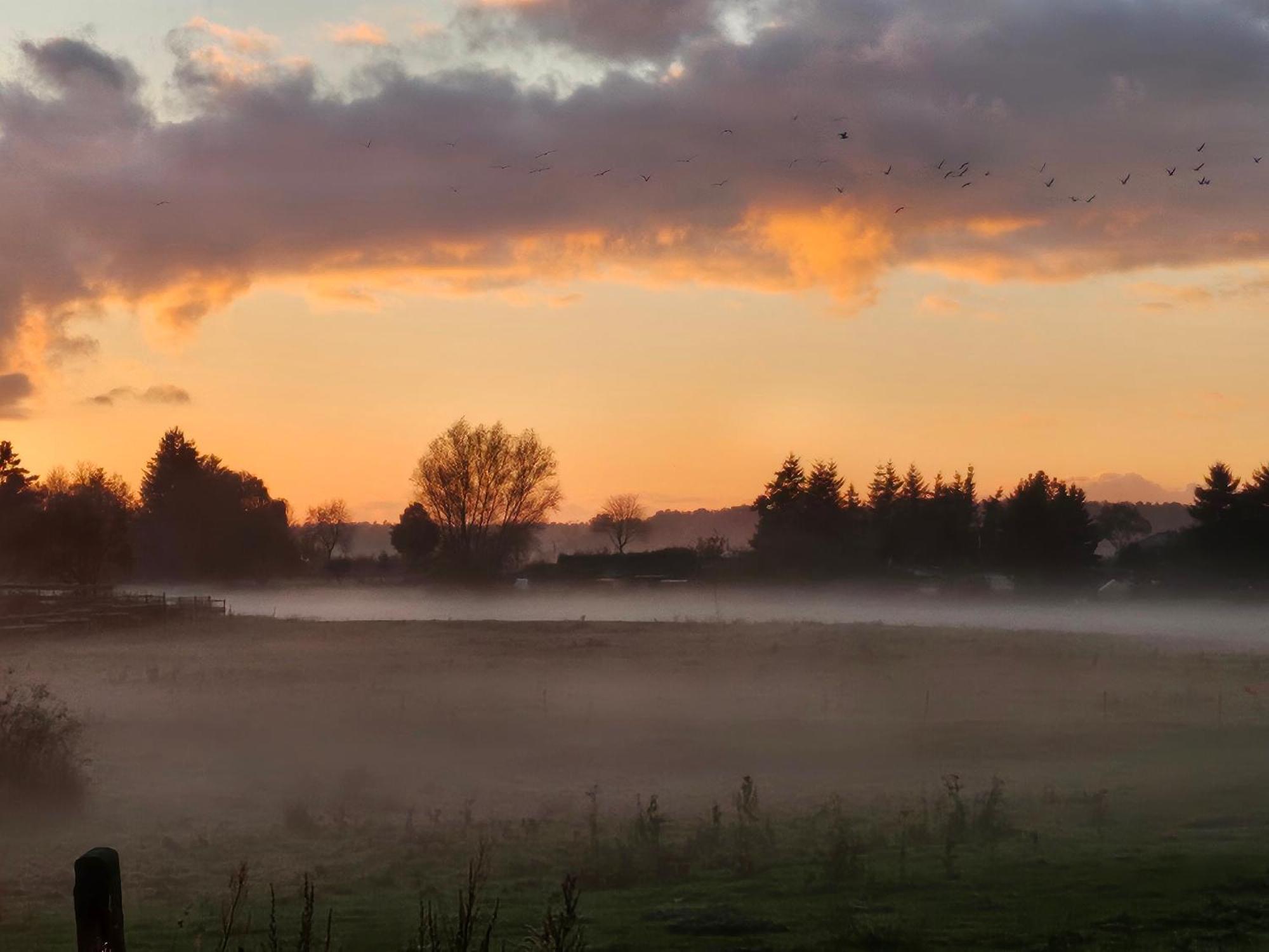 Fewo Am Wald Boek Exteriör bild